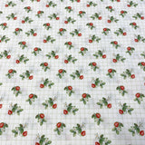 Fresas